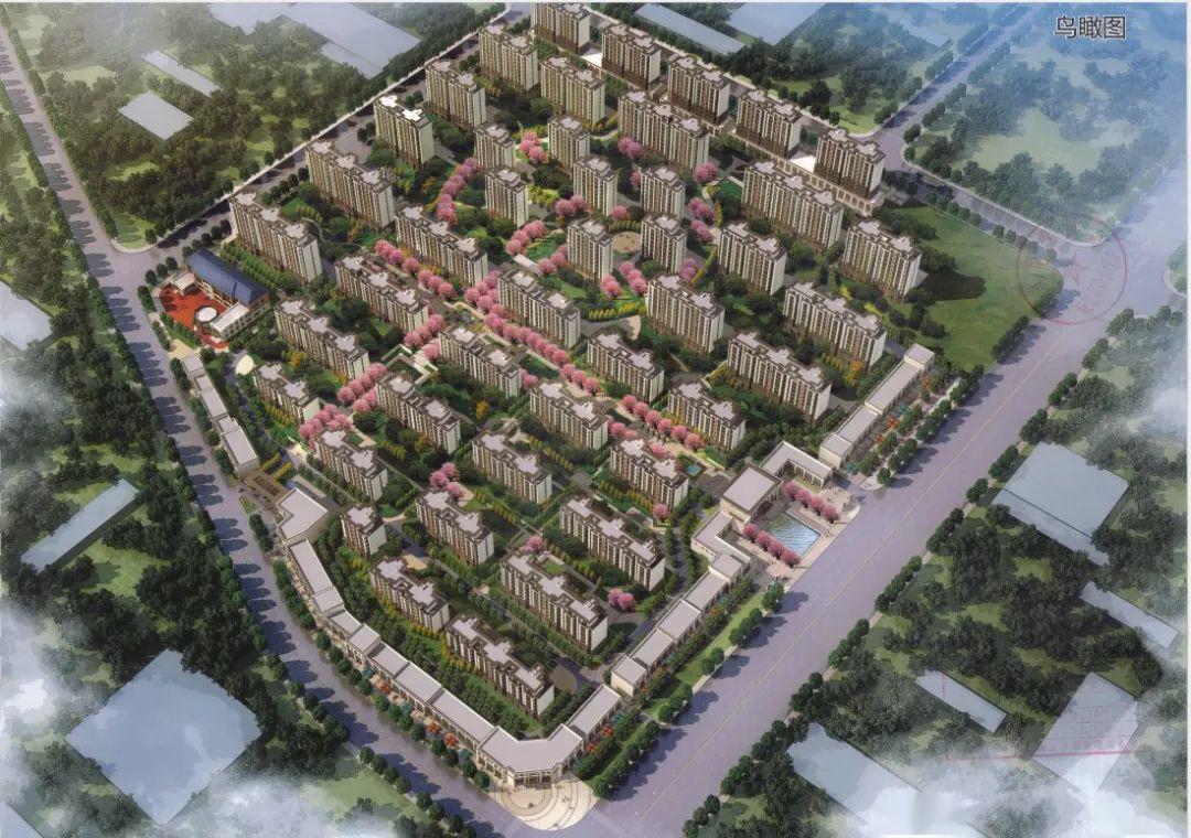 速看!青州这里要建幼儿园,具体位置在