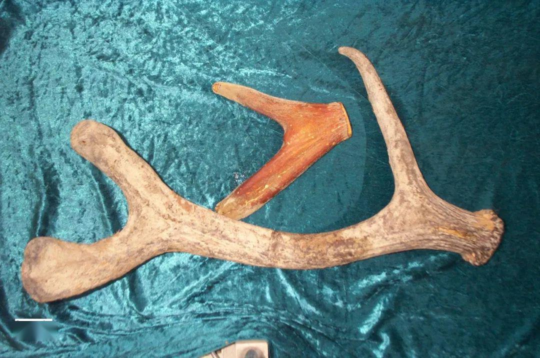 健康三保每日一讲