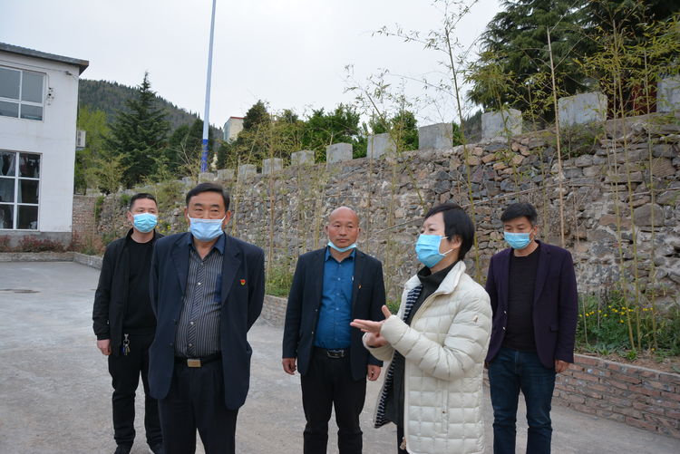 巩义市领导景雪萍到涉村镇调研指导摘夺创暨乡村振兴工作