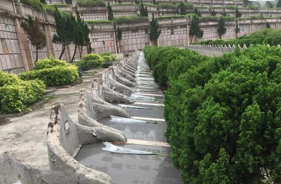 里水永乐园我们怀念故人也是追思如歌的岁月记录成长的足迹因为成长