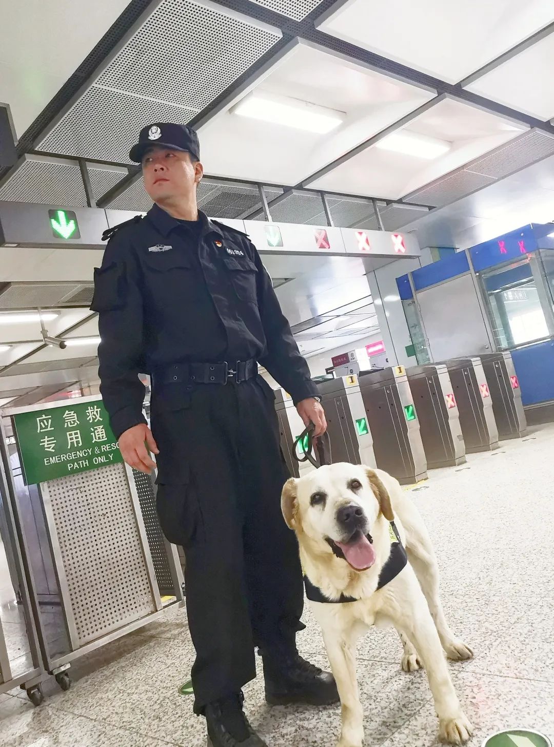 感谢你选择成为警犬感谢你选择与我们并肩战斗