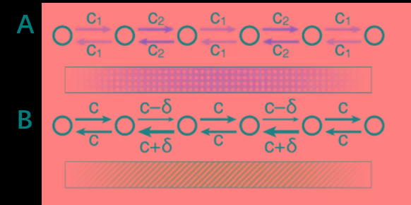 science光的漏斗