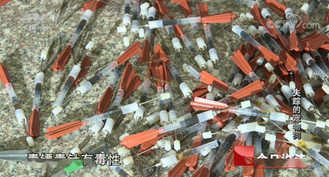 深圳本世纪中国大陆第一个立法禁食猫狗的城市