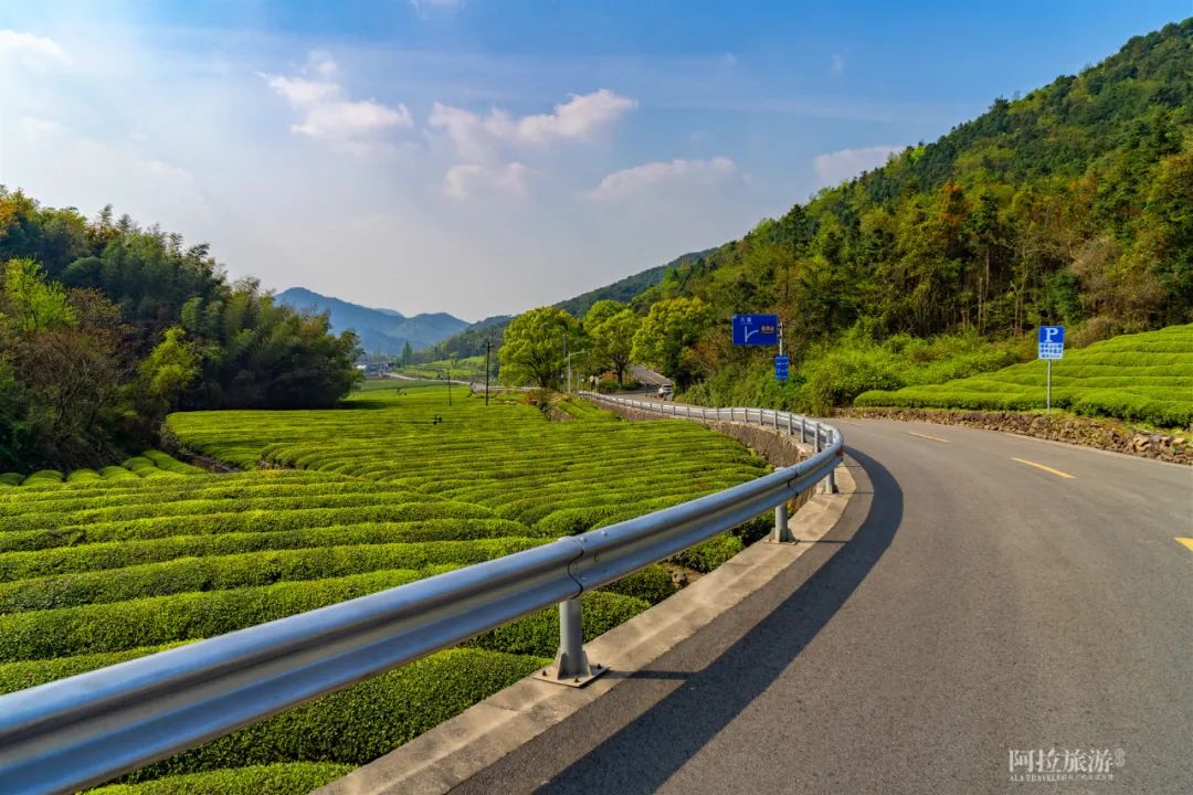 连绵的茶山 把东钱湖拥在怀里,而我们好似流淌在这