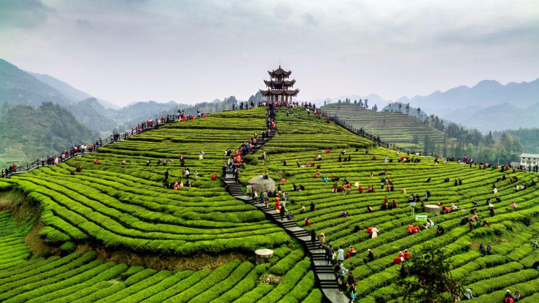 云游湖北湖光山色诗意浓梦里水乡处处春