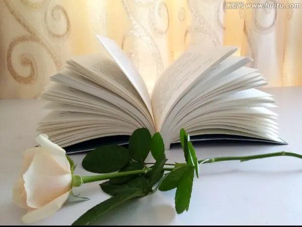 我与图书馆主题征文荐读礼书