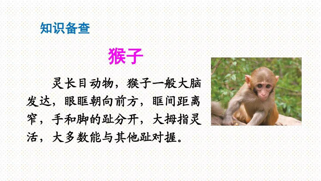 预习部编版一年级语文下册第18课小猴子下山知识点图文讲解同步练习