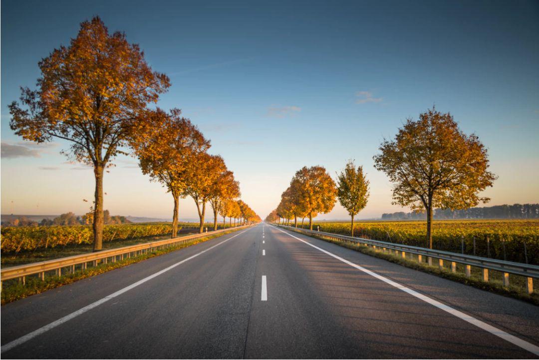 目中有人才有路