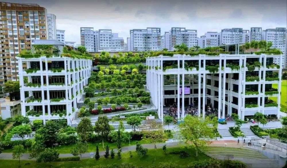 oasis terraces 面向河道一侧的呈现的开放空间状态社区商业需要更强