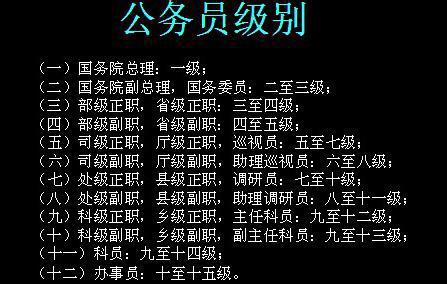 通用職務名稱由高至低依次為:一級總監,二級總監,一級高級主管,二級