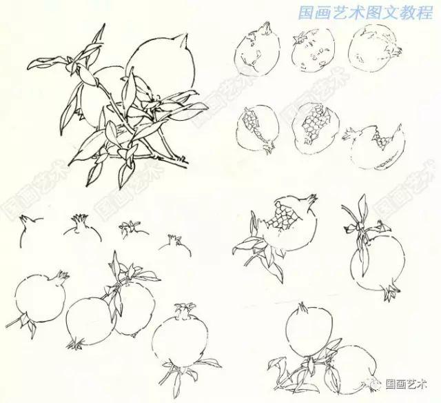 图文教程写意石榴画法