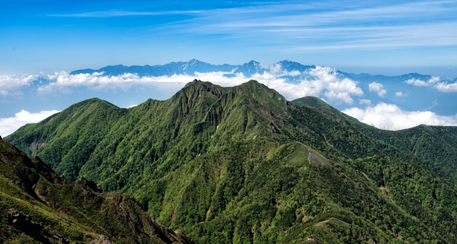 家电市场线上线下全发力,华为索尼推新品海尔美的格力破坚冰-家电圈官网