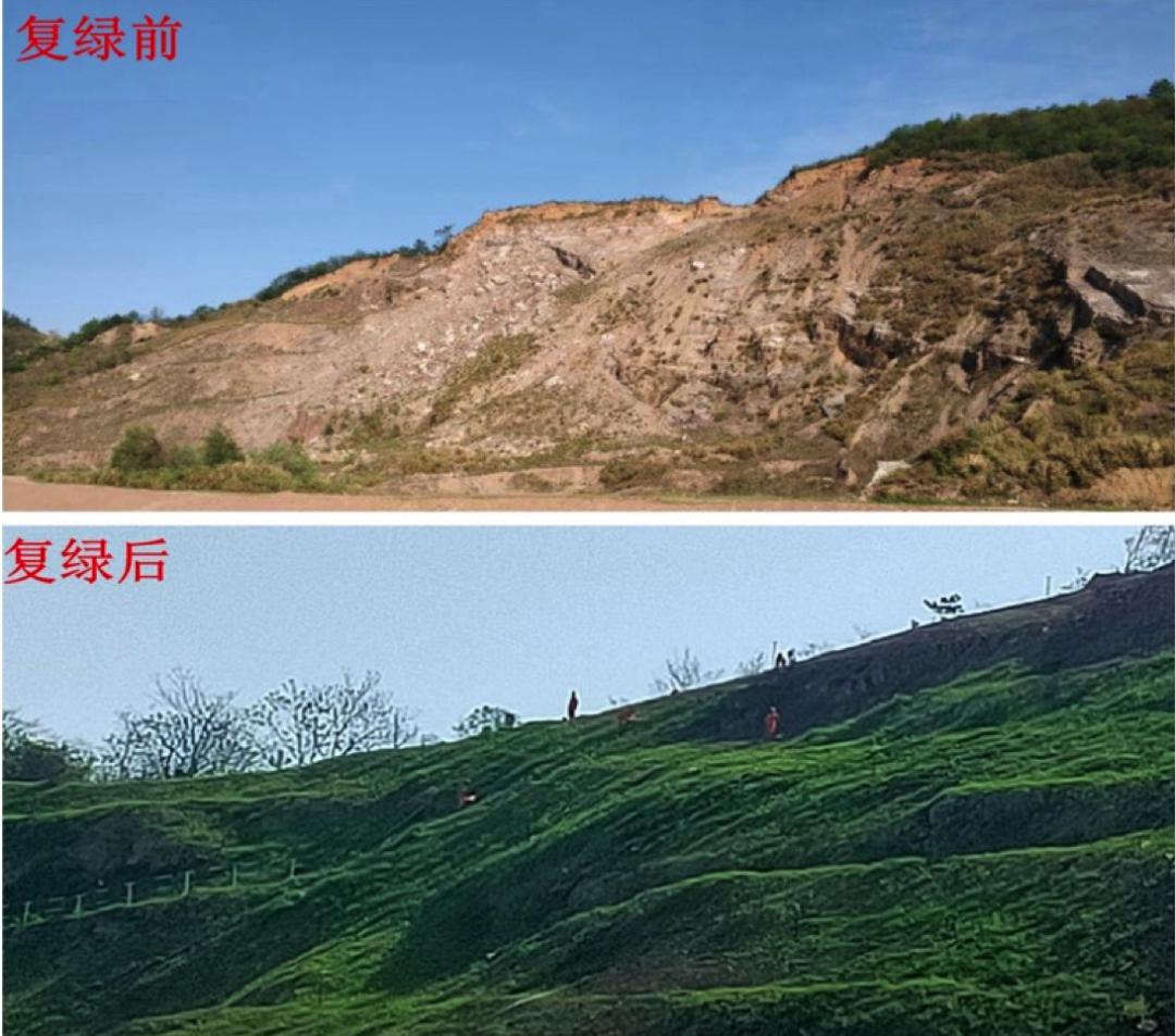彭泽长江沿岸受损山体生态修复前后对比摄影:李宏艳近日,彭泽长江沿岸