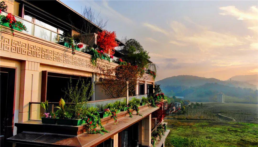 云看房礼相送临安电视台电视购房首站直通状元府