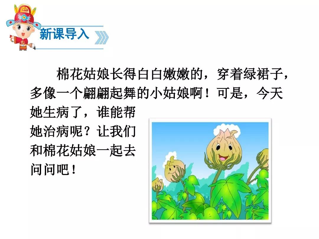 棉花姑娘课文 来自搜狐网