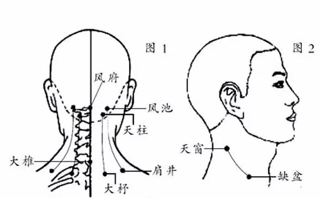 2,找到這幾個穴位之後,我們先採用按摩方法,先疏通一下經絡,按摩手法