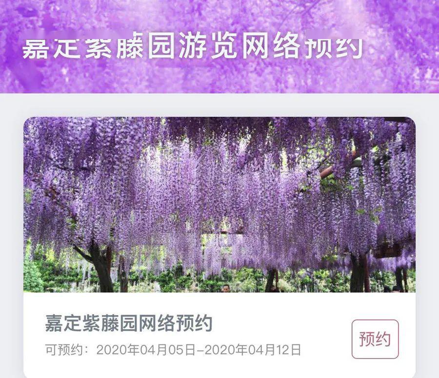 紫藤园预约页面图片