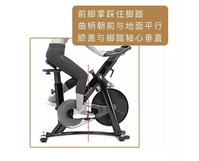 号称脂肪杀手的动感单车为何让人又爱又怕