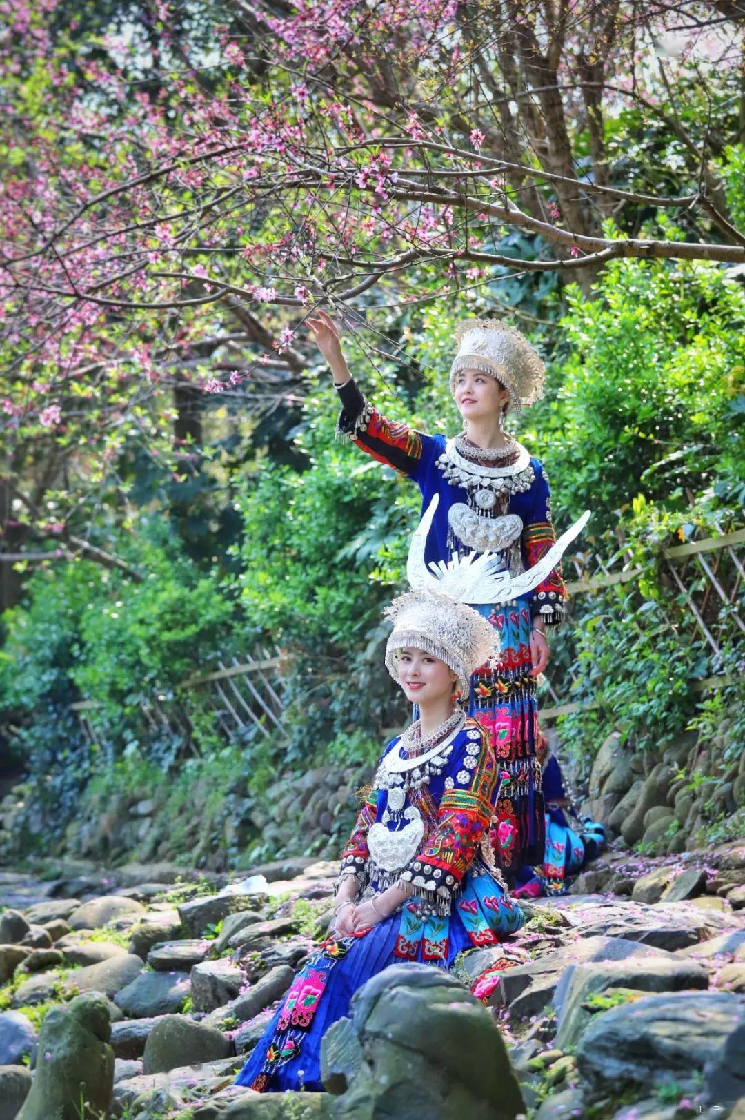 西江千户苗寨春意盎然苗族姑娘花间引人入胜