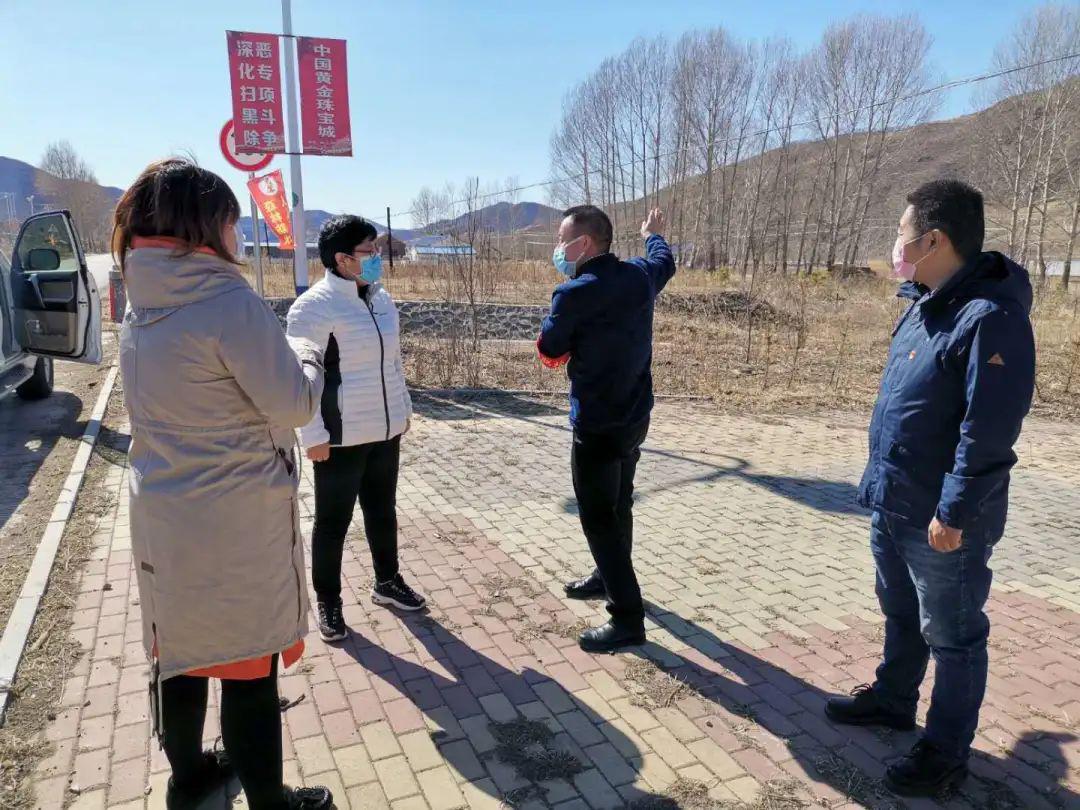 市政府副市长杜明燕深入浩饶山镇督导清明节期间森林草原防灭火和疫情