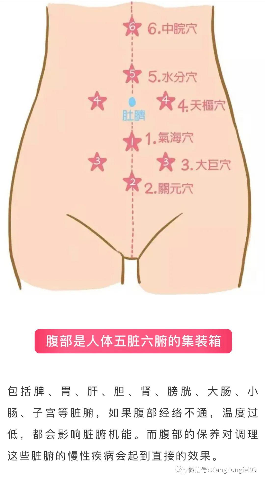肚子的经络位置图图片