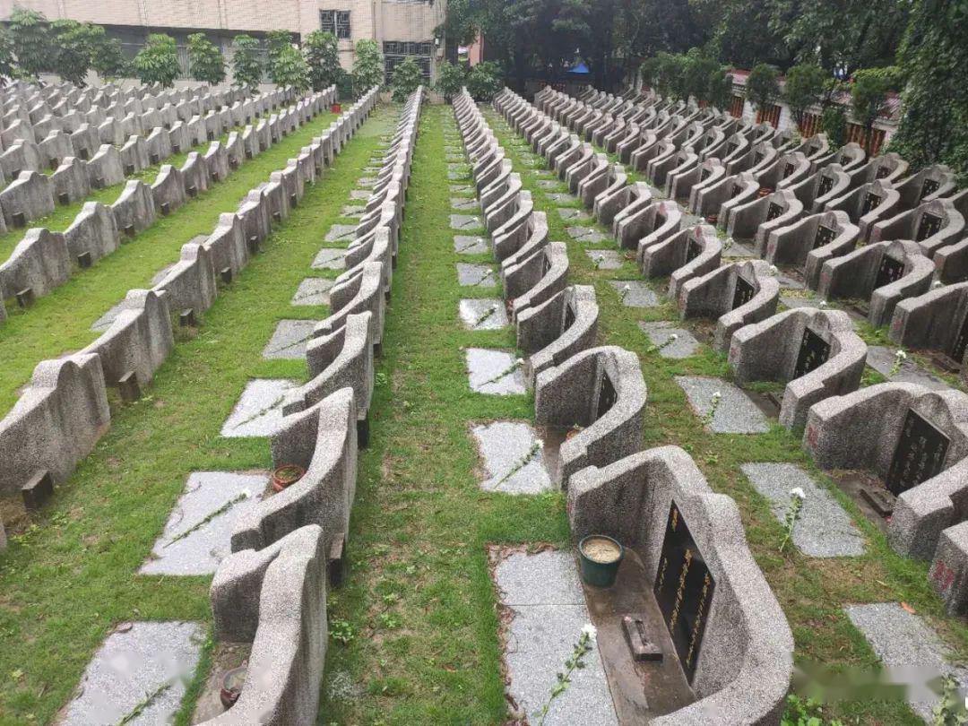 福安园里水永乐园我们怀念故人也是追思如歌的岁月记录成长的足迹因为