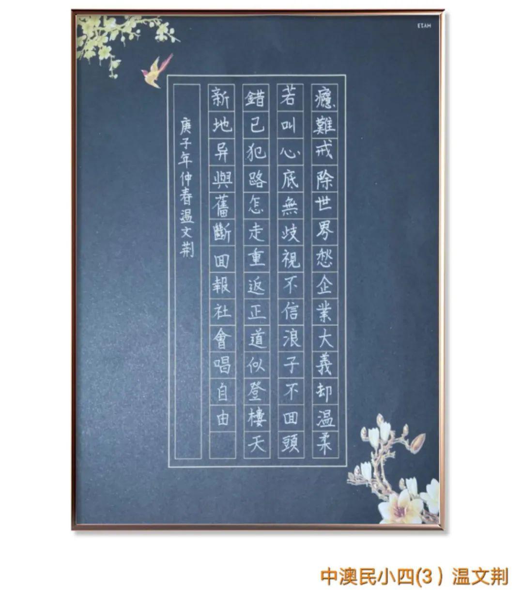 拒绝毒品守护生活最初美好的样子中澳学子优秀禁毒作品分享