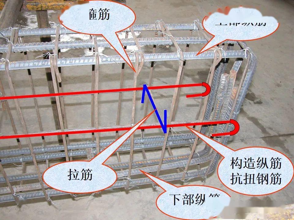 房屋横梁钢筋分布图图片