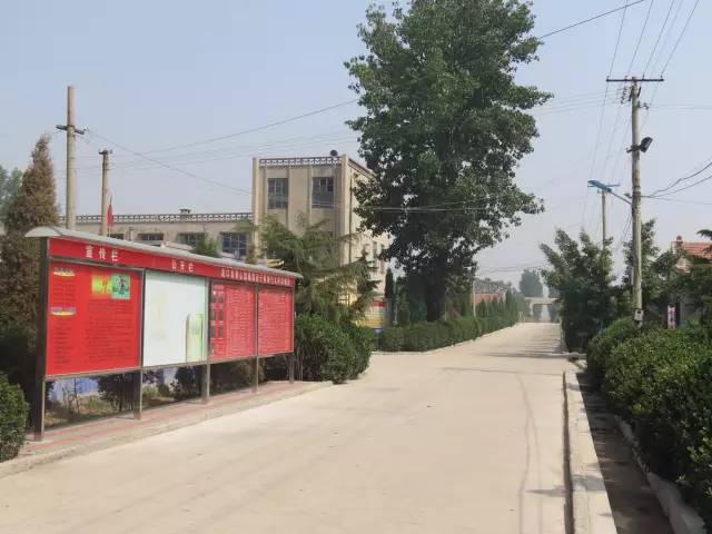 龙口这个镇即将富得流油!是你家吗…_山东省