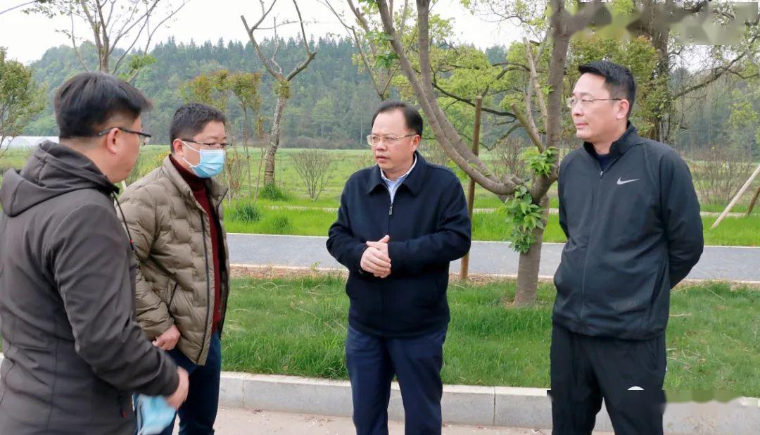 黄金龙来乐平督查指导清明期间疫情防控和森林防火工作