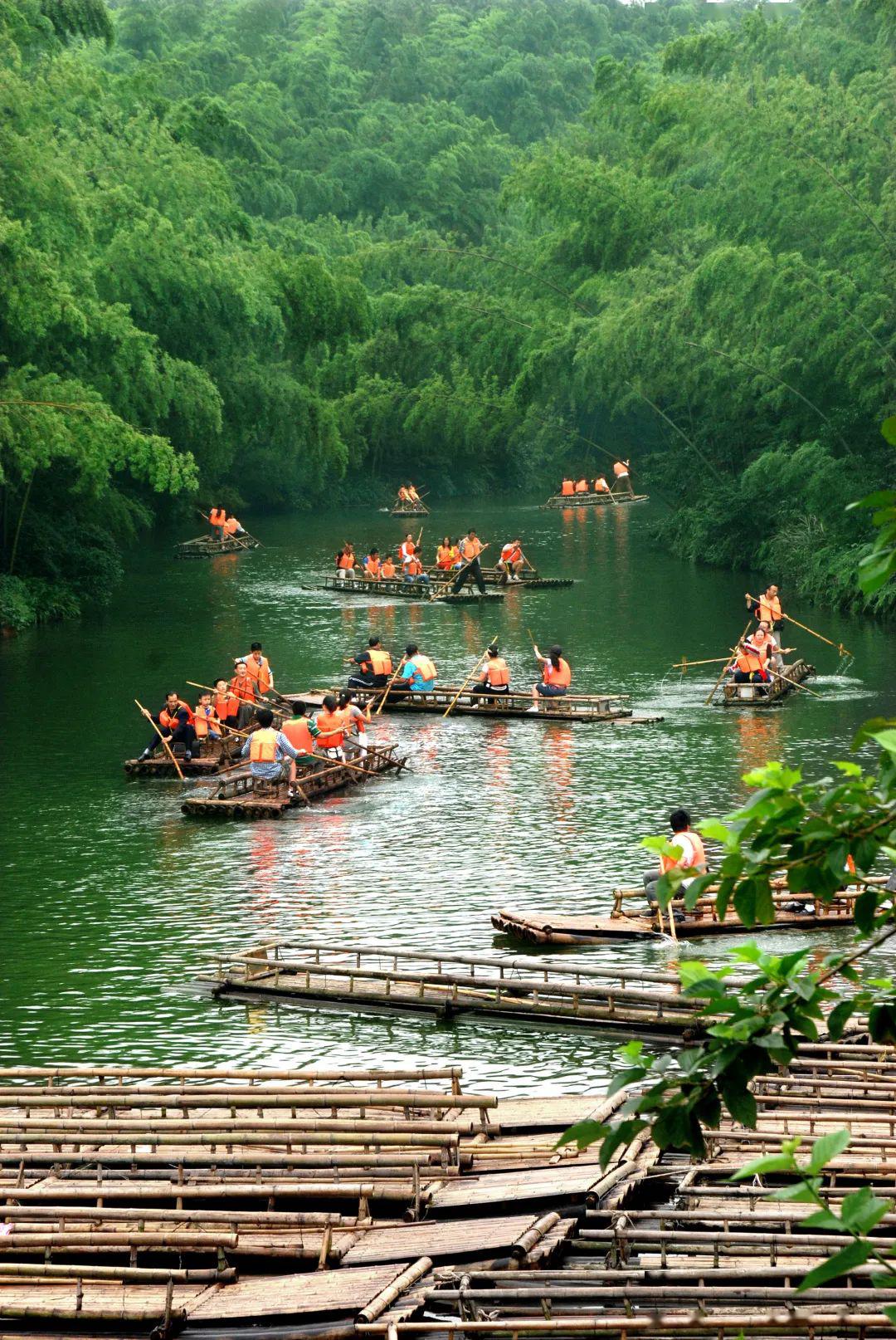 南竹海無需取景隨便拍攝都是一張張美照在竹海,我們隨心旅行盡情欣賞