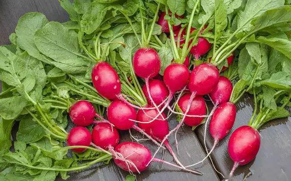 "排名第一"的便宜好物,提高身体免疫力,当季吃正合适!