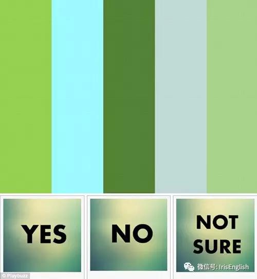 颜色测试透露你的性格