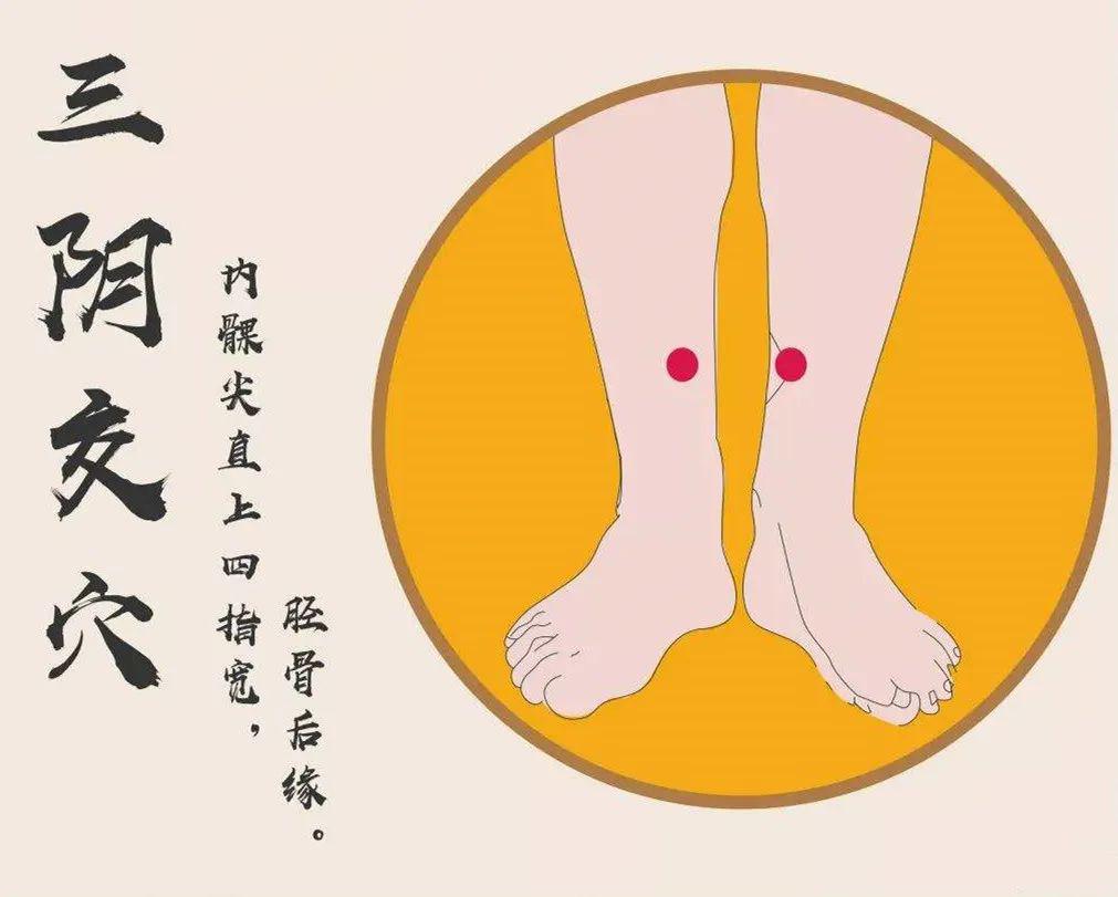 人体三大养肝穴位