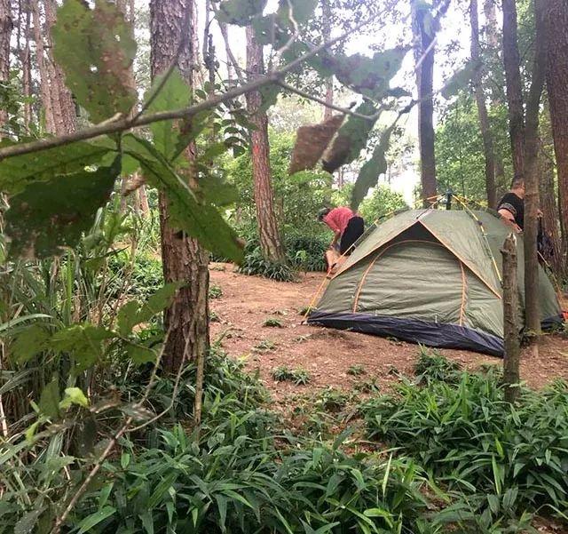 重庆自助烧烤云篆山庄10荤10素嗨吃不限量机麻ktv观赏孔雀园耍陀螺