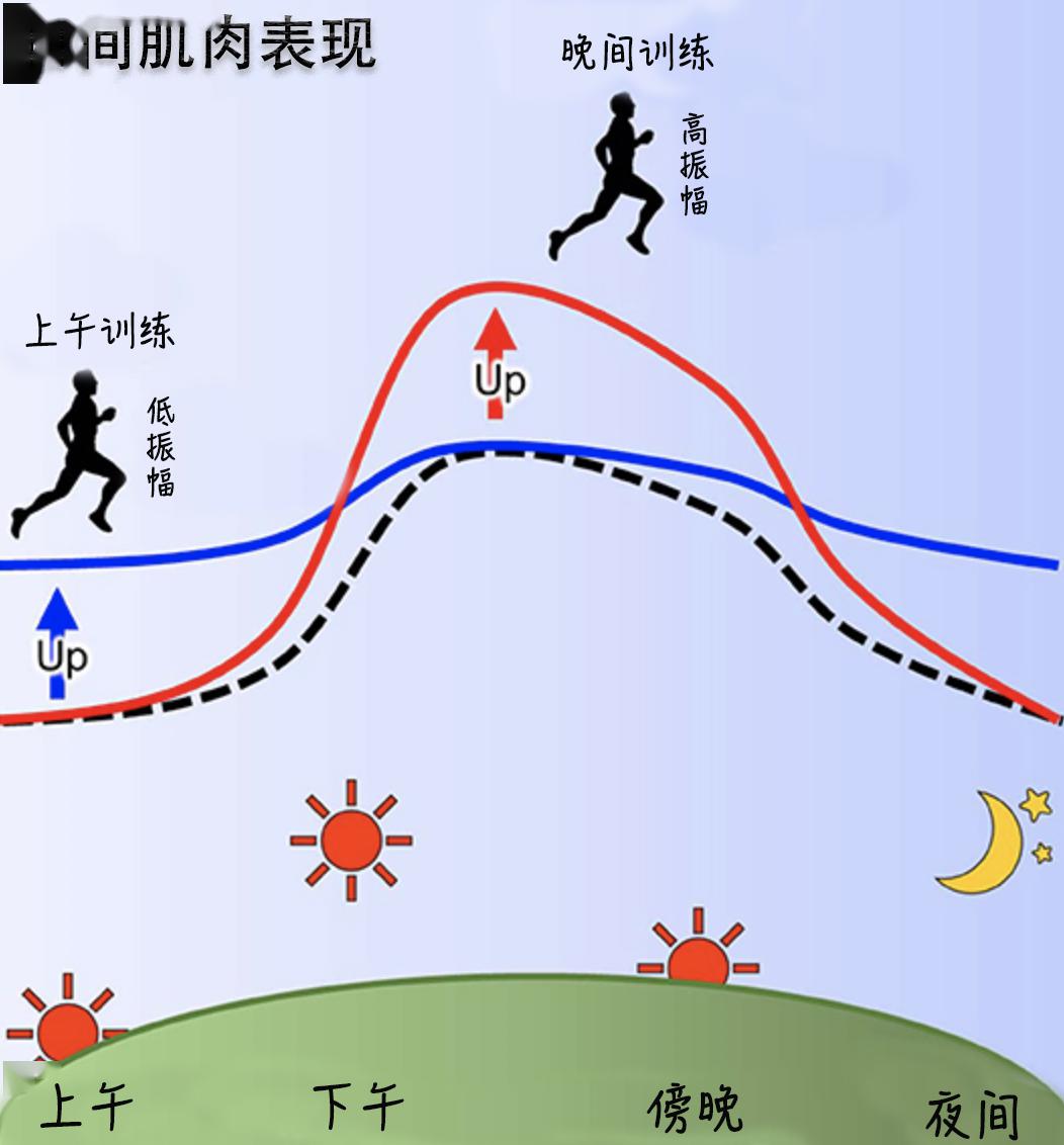 深刻理解生物鐘,實現最佳運動表現