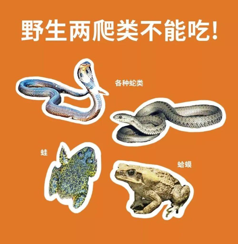 螺蛳入选国家重点保护野生动物!
