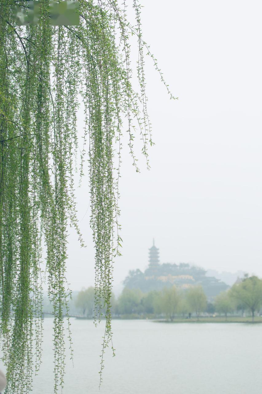 好一幕,游园戏春_春光