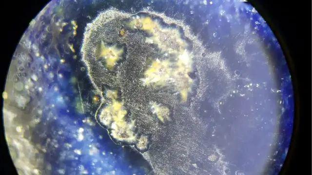 胎釉和色釉的老化拍摄苏麻离青铁斑100倍放大元青花微观下的特征:真正