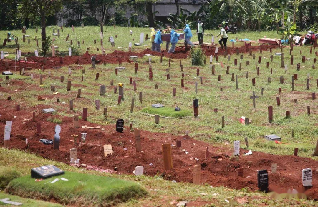 印尼快讯0406: 累积确诊2491例 印尼向特斯拉老板求助呼吸机 印尼科学