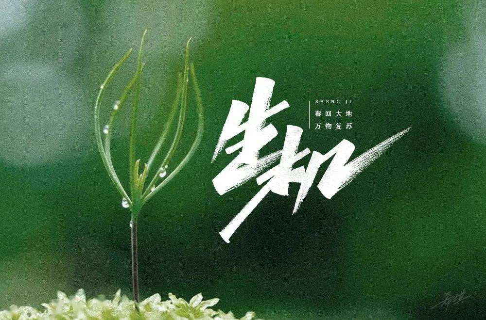 字体帮-第1503篇:生机