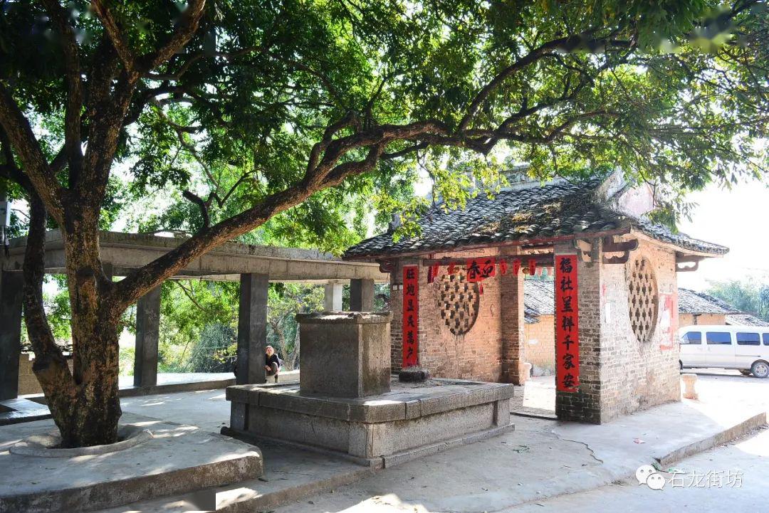 乡村回忆录之--社公也有自己娱乐的时候,热天时躺在