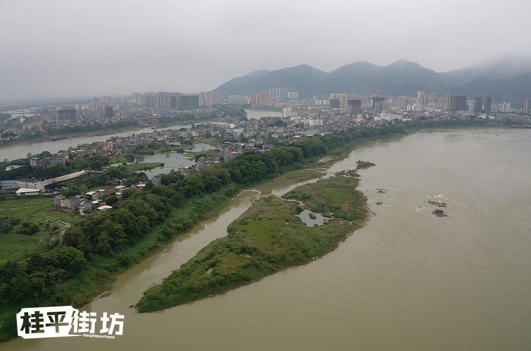 快睇桂平北江和三角咀的水位已经涨到