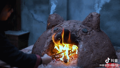 继母虐待14岁辍学如今月入百万的李子柒刺痛了谁