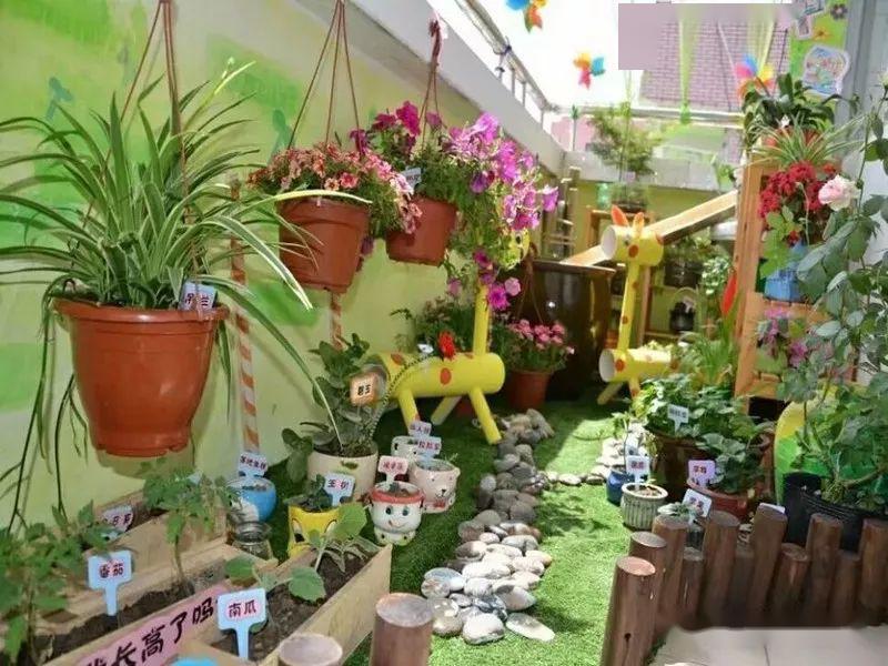 幼儿园自然角布置,让我们一同感受春的气息!