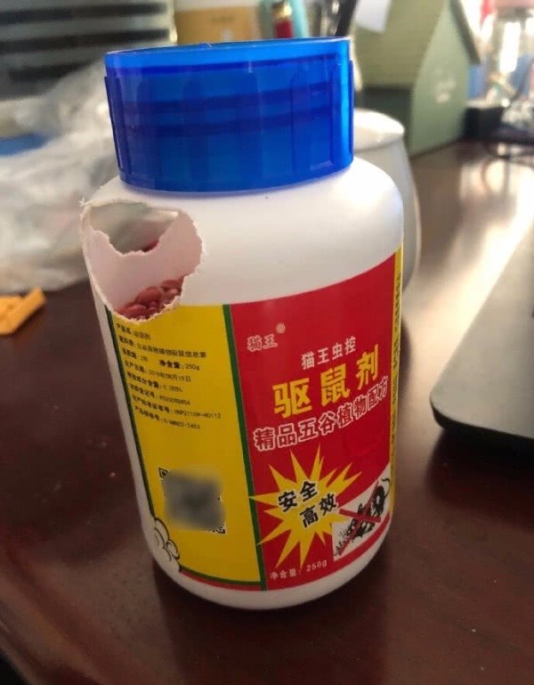 这是对老鼠药最大的侮辱今天陪女友一起出去吃饭,吃饭时看到她脸上有