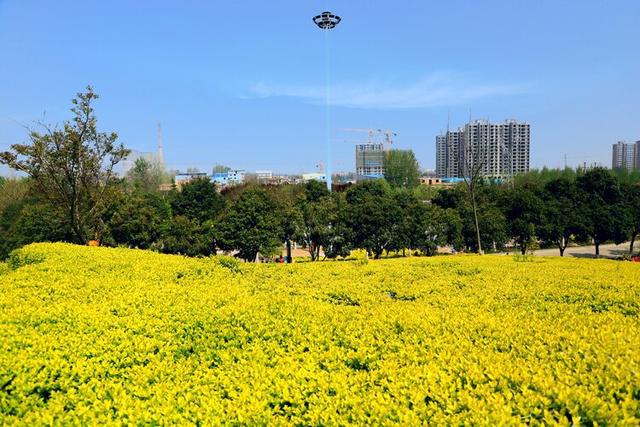 三门峡甘棠公园,春色惹人醉