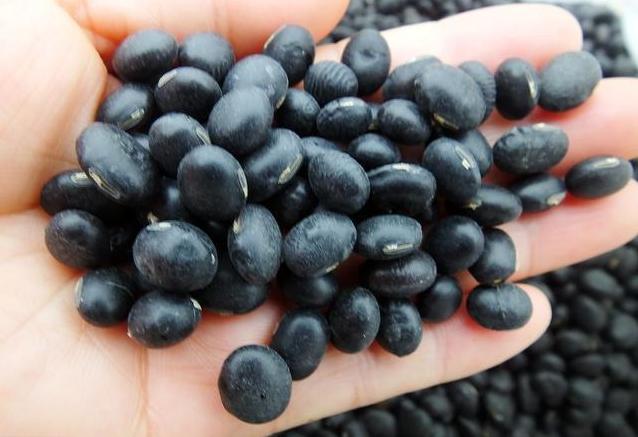 肾脏的健康取决肌酐的高低,肌酐的升高都有哪些原因._umol