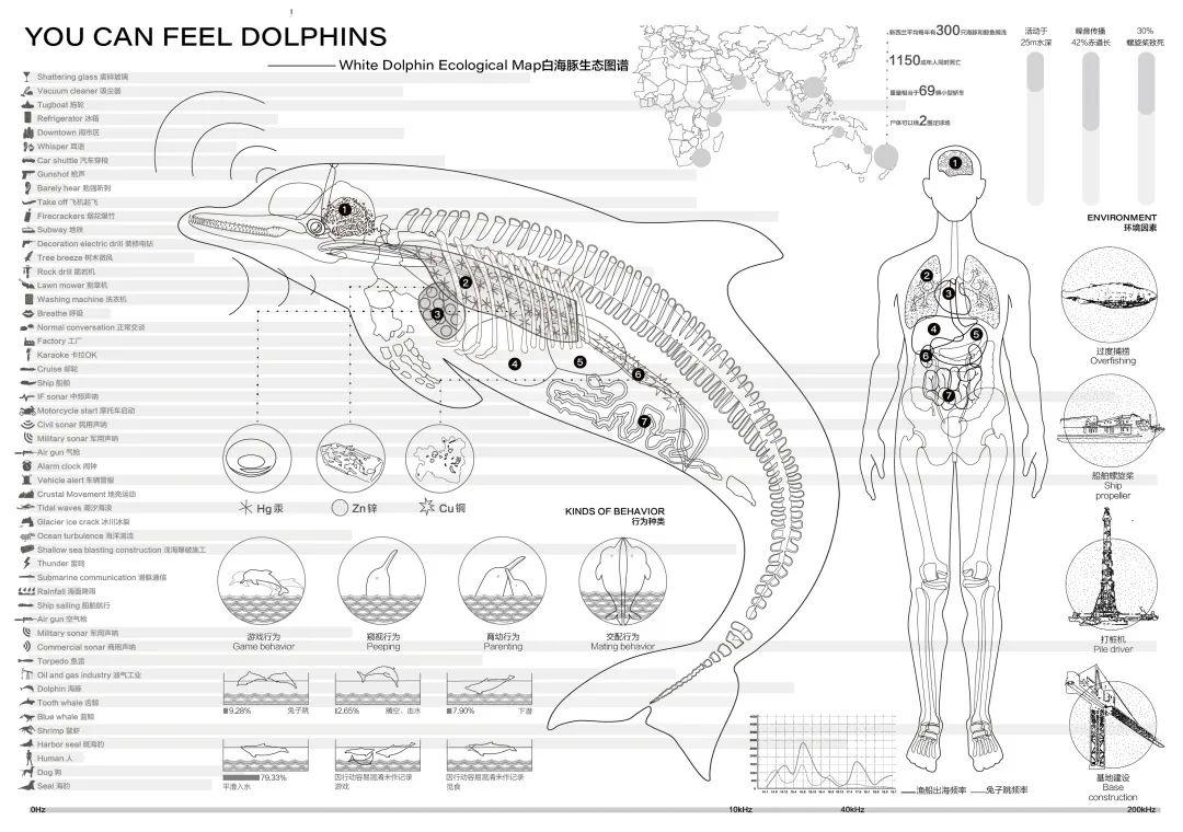 白海豚生态图谱海洋生态危机图谱海洋生态危机图谱海洋生态危机设计初