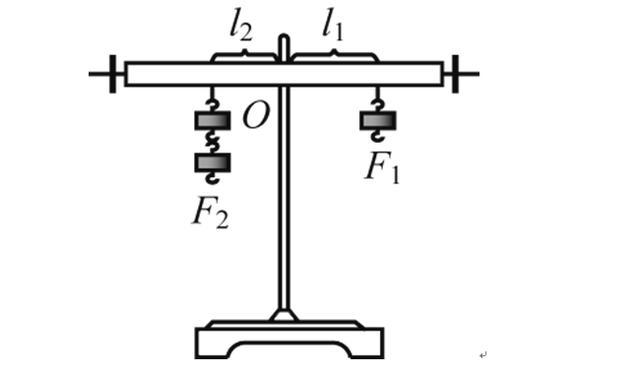 中考物理實驗專題複習探究槓桿的平衡條件聰明的考生已經收藏